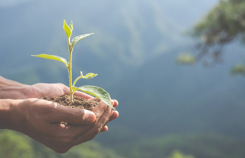 Sustainable