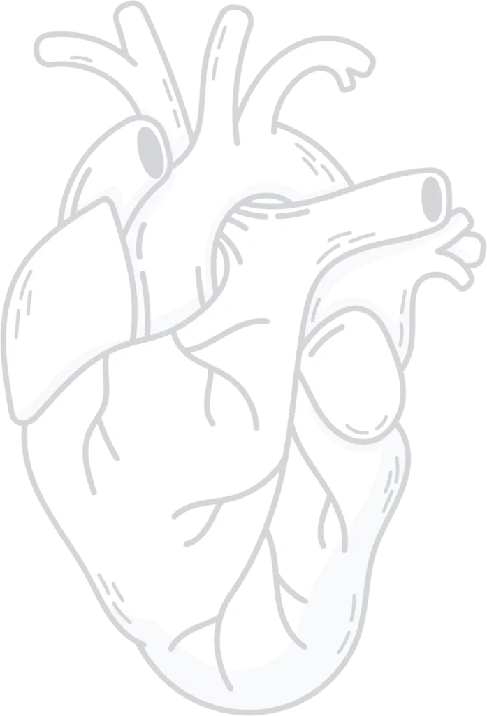 Heart
